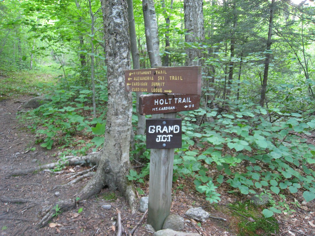 Mt Cardigan NH 2010 0116.jpg - Mt. Cardigan in New Hampshire. Summited on May 25, 2010. There are numerous trails to the peak... I had to pick the extremely difficult one. The views were worth it.